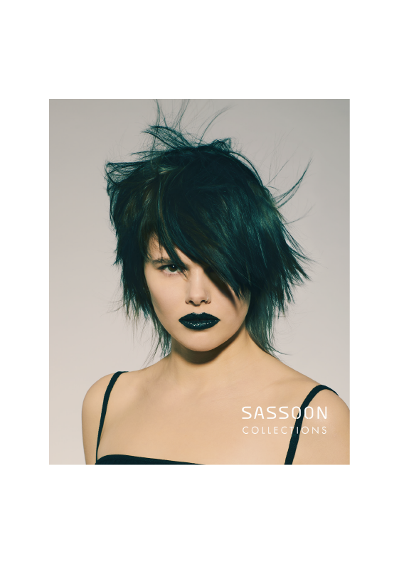 美容師　ヘアカット　sassoon abc DVD 美容師 ヘアカット sassoon abc DVD 【2025，新作】